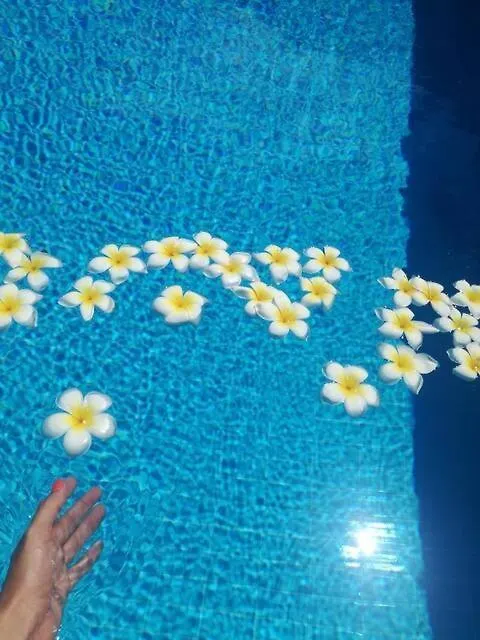 Holiday Home Green Paradise Palermo 0*,  Italia